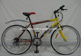 Beautiful Bicycle for Hot Sale (SH-MTB205)