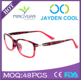 (R649) Directly Factory Selling Tr90 Fashion Optical Frame Eyewear