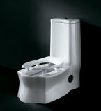 Toilet (Z2060400)