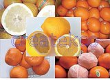 Honey Pomelo/ Navel Orange / Mandarin Orange (Lugan)