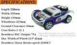 Hsp 1/8th Scale RC Car 4WD Brushless Rally Monster 94063