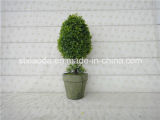 Artificial Plastic Potted Flower (XD15-390)