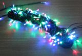 RGB Color LED Christmas Lights 220V String Decoration