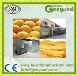 Dried Sliced Mango Production Plant