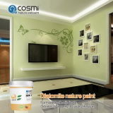 Wall Paint Color Make of Diatom Paint