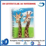 3D Notebook