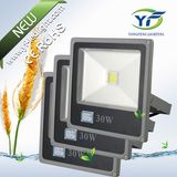 30W 2700-6500k 2200lm LED Flood