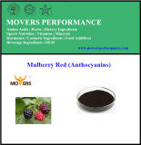 Factory Supply High Quality Mulberry Red (Anthocyanins)
