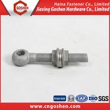 High Quality RoHS/SGS Dacromet Eye Bolts M12