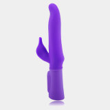 Competitive Wand Adul Product Vibrating B-Nydia Sex Products Factory