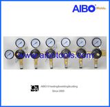 CO2 Regulator for Home Brew (2W1654-1)