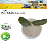 Soluble Powder Microelements Chelated Amino Acid Fertilizer for Agriculture