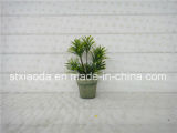 Artificial Plastic Potted Flower (XD15-378)