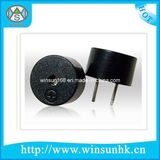 High Quality D9xh5.5mm External Drive Magnetic Buzzer