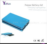 2014 Polymer Power Bank 30000mAh for Laptop (YR300)