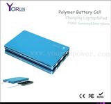 2014 Polymer Power Bank 30000mAh for Laptop (YR300)