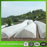 50X25mesh Anti Insect Net