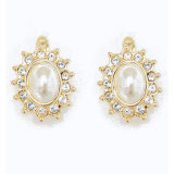 Fashion Jewelry Earring (A04867E1W)