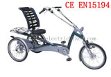800W Crank Drive Moto Recumbent Tricycle (SL-021-A)