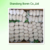 Chinese Professionalsupplier of Fresh Garlic