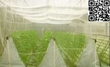 Meyabond Shade Netting, Anti Insect Net (MYB-002)