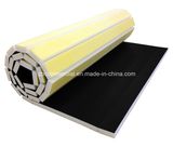 Rolling Mat Art Mat Judo Tatami Mats Wrestling Mats