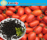 Cocoly Granular NPK 100% Water Soluble Folar Spraying Vegetable Fertilizer