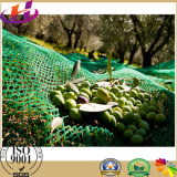 100% HDPE Green Olive Picking Nets for Agricultural
