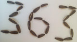 Sunflower Seeds 363 with High Quality and Hot Large Supplier