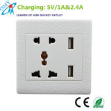 CE RoHS Approval Electrical Socket Outlet with Dual USB Charger