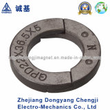 2015 Special Shape Injection Moulded Ring Magnet 197 for Automobile