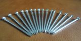Galvanized Common Nails