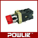 High Quality Illuminated Selector Pushbutton Switch (Xb2-Bk2465)