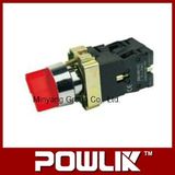 High Quality Illuminated Selector Pushbutton Switch (Xb2-Bk2465)