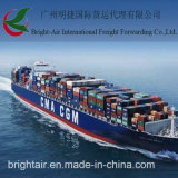Sea Freight From China (Guangzhou) to Middle East