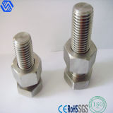 Staineless Steel High Strength Heavy Bolt and Nut