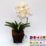 Artificial Potted Flower, Imitative Silk Orchid