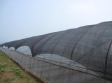 Agriculture Black Shade Net for Greenhouse
