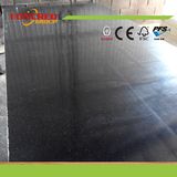 1220X2440mm/1250X2500mm Phenolic Film Faced Plywood