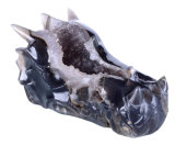 Natural Geode Agate Carved Dragon Skull Carving, Real Dragon Skeleton (9Z88)