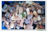 Frozen Kind Bolete Whole Mushroom Grade a (4-6CM) 121103