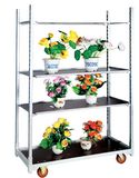 Plant Trolley / Flower Trolley / Nursery Trolley