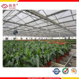 Plastic Construction Material Polycarbonate Gardening Material