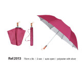 Two Folding Umbrella 2013