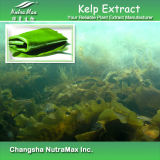 100% Natural Seaweed Kelp Extract (10%-60% Fucoxanthin/Fucoidan)