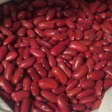 Top Qualty Red Kidney Bean (180-200)