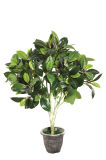 115cm Height Small Artificial Bonsai Tree (0500) ----SGS High Quality Standard