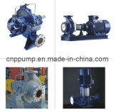 Process Pump (Filter Feed and Booster Pump) 