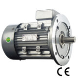 15kw Electric Motor