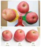 2015 Fresh Fruit FUJI Apple From Shandong